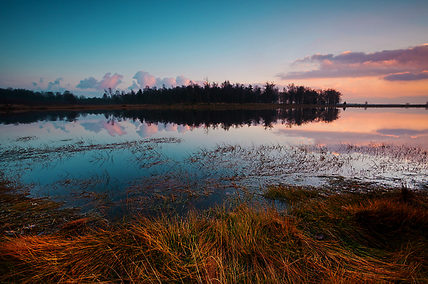 포토 JPG 해외이미지 나무 식물 구름 호수 여행 자연 하늘 표면 풍경 사람없음 야외 물 파란색 빛 컬러풀 햇빛 반사 노란색 평화 침묵 황혼 일몰 연못 저녁 숲 네덜란드 수평선 해외202004 해외포토 자연요소 유럽 컬러 컨셉 태양 노을 소리 야간 생태계 파일형식 이미지허브