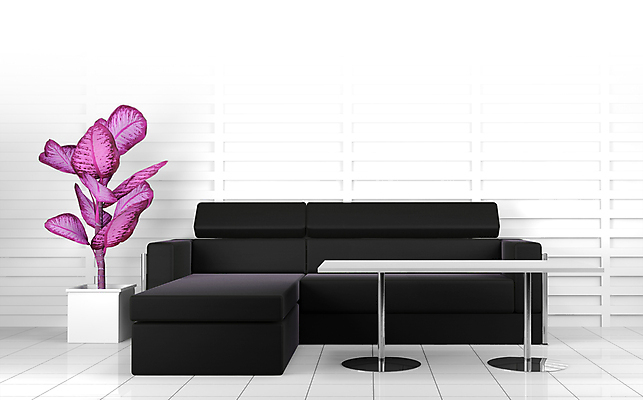 포토 JPG 해외이미지 라이프스타일 디자인 벽 가구 백그라운드 쿠션 의자 건축양식 가정 베개 휴식 새로움 바닥 아파트 주택 실내 앉기 사람없음 내부 장식 가로 초록색 빛 소파 유행 우주 꽃병 방 흰색 도시 휴게실 고급 우아함 타일 오브젝트 질감 만들기 안락의자 리빙 내추럴 다락방 묘목 석고 스타일 미니멀리스트 미니멀 안락 해외202004 해외포토 나무 건축 꽃 컬러 생활용품 컨셉 침구 모션 건물 생활 파일형식 이미지허브