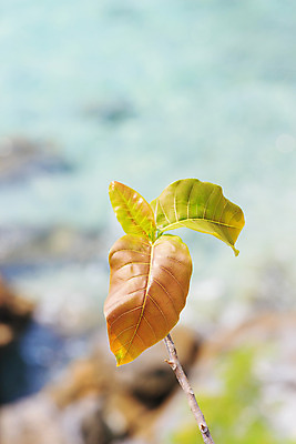 포토 JPG 해외이미지 나무 식물 구름 계절 꽃 유럽 아시아 여행 잎 밭 농업 비즈니스 자연 하늘 산 파노라마 풍경 사람없음 야외 목재 가로 초록색 여름 파란색 강 농장 농경지 환경 계곡 봄 시골 신선 소나무 숲 땅 언덕 장면 내추럴 해외202004 해외포토 자연요소 나라 산업 컬러 재료 촬영기법 생태계 파일형식 이미지허브