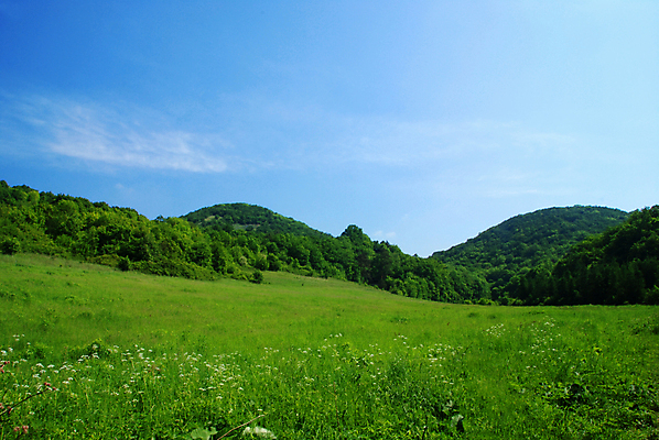 포토 JPG 해외이미지 나무 구름 백그라운드 밭 자연 하늘 산 풍경 사람없음 초록색 파란색 평화 봄 기쁨 하이킹 시골 소나무 숲 언덕 내추럴 슬로바키아 가문비나무 해외202004 해외포토 자연요소 식물 계절 감정 유럽 컬러 컨셉 농업 레저 생태계 파일형식 이미지허브