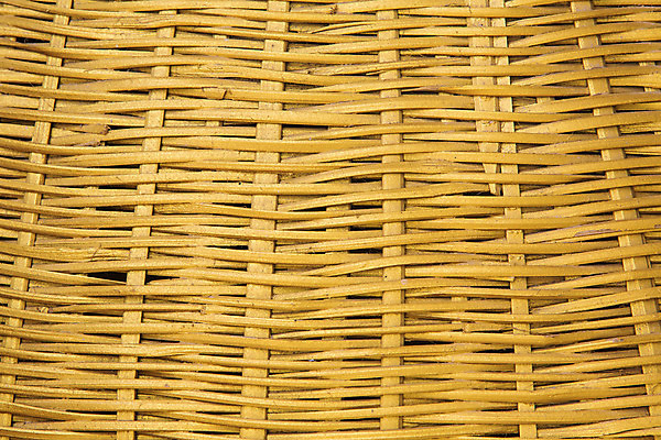 포토 JPG 해외이미지 디자인 꽃 백그라운드 잎 꽃무늬 패턴 추상 창조 사람없음 컴퓨터그래픽 장식 소용돌이 나뭇가지 화려 우아함 은색 해외202004 해외포토 나무 식물 컬러 컨셉 무늬 그래픽 회오리 파일형식 이미지허브