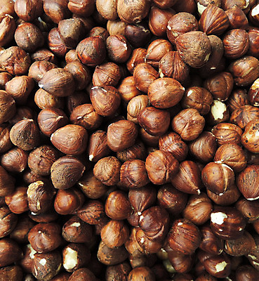 포토 JPG 해외이미지 계절 음식 백그라운드 재료 자연 건조 건강 씨앗 사람없음 갈색 쌓기 활발 견과류 가을 가득함 오브젝트 유기농 알맹이 내추럴 개암나무 식용 어려움 채식주의자 개암 해외202004 해외포토 나무 식물 웰빙 열매 컬러 컨셉 모션 생태계 채식 파일형식 이미지허브