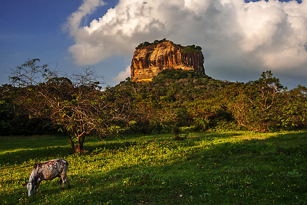 포토 JPG 해외이미지 전통 아시아 문화 벽 여행 불교 자연 하늘 휴가 벽돌 사람없음 초록색 파란색 세계 여행객 정원 맑음 궁전 거울 바위 도시 사찰 성 역사 재산 보호 숲 사자 왕 호기심 과거 타운 S 복잡 옛날 왕국 파멸 해외202004 해외포토 건축물 알파벳 감정 나라 종교 컬러 컨셉 고건축 포유류 종교건축 날씨 사람 금융 돌_바위 생태계 파일형식 소멸 이미지허브