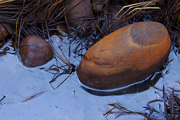 포토 JPG 해외이미지 식물 야생동물 모래 바다 줄기 백그라운드 잎 패턴 자연 노르웨이 풍경 사람없음 빨간색 물 파란색 빛 컬러풀 반사 노란색 평화 검은색 어둠 활발 회색 가을 바위 흰색 숲 파운드 밀짚 해외202004 해외포토 자연요소 동물 계절 유럽 컬러 컨셉 돈 무늬 돌_바위 짚 생태계 파일형식 이미지허브