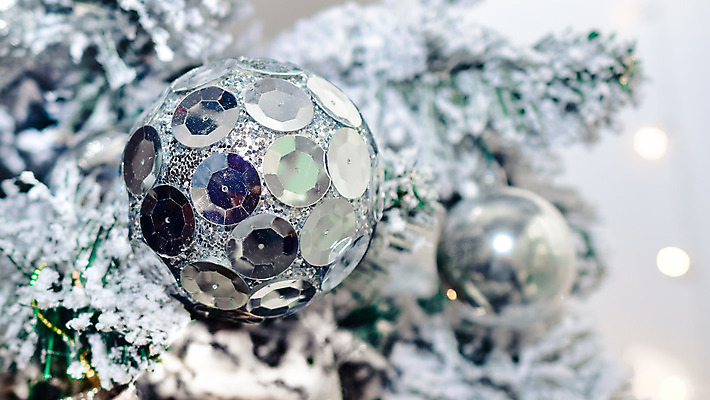 포토 JPG 해외이미지 나무 계절 지구 크리스마스 지도 겨울 비즈니스 공 유리 조류 휴가 새로움 사람없음 장식 파란색 빛 세계 지구본 축제 행성 장식볼 수확 골동품 흰색 나뭇가지 축하 은색 12월 연도 오브젝트 디스코 새장 고립 여의주 해외202004 해외포토 식물 동물 기념일 음악 컬러 컨셉 농업 재질 우주 춤 날짜 케이지 파일형식 이미지허브