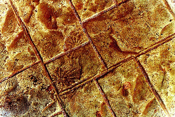 포토 JPG 해외이미지 디자인 백그라운드 패턴 오렌지 벽지 추상 미래 벽돌 새로움 프레임 따뜻함 사람없음 장식 빛 컬러풀 태양 갈색 노란색 우주 줄무늬 도시 뜨거움 화려 황금 묘사 질감 복고 정사각형 광 엘리먼트 옛날 용광로 스타일 해외202004 해외포토 자연요소 도형 컬러 컨셉 무늬 과일 파일형식 이미지허브