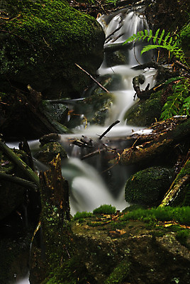 포토 JPG 해외이미지 유럽 자연 북유럽 노르웨이 풍경 사람없음 야외 가을 스칸디나비아 해외202004 해외포토 계절 나라 생태계 파일형식 이미지허브
