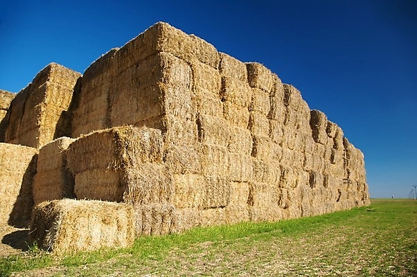 포토 JPG 해외이미지 식물 유럽 밭 농업 자연 하늘 산 사람없음 야외 파란색 노란색 시골 스페인 볏짚 뭉치 밀짚 해외202004 해외포토 나라 산업 컬러 짚 생태계 파일형식 이미지허브