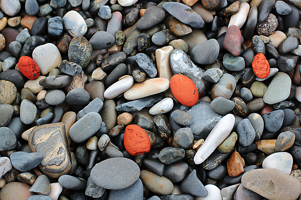 포토 JPG 해외이미지 디자인 계절 바다 여행 백그라운드 컨셉 텍스트 자연 조류 휴가 벽돌 프레임 사람없음 야외 장식 빨간색 물 파란색 빛 컬러풀 우주 거품 연못 네트워크 홍수 심볼 질감 모음 내추럴 해외202004 해외포토 자연요소 동물 컬러 한글 자연재해 생태계 파일형식 이미지허브