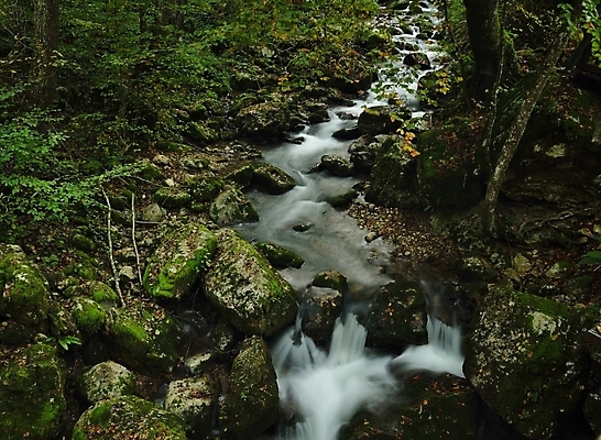 포토 JPG 해외이미지 나무 계절 공원 지구 단풍 잎 자연 국립공원 그림자 풍경 사람없음 야외 목재 초록색 물 강 컬러풀 환경 봄 폭포 흐름 가을 나뭇가지 시골 개울 숲 땅 순수 장면 암초 굴곡 해외202004 해외포토 자연요소 식물 공공시설 컬러 컨셉 재료 생태계 파일형식 이미지허브