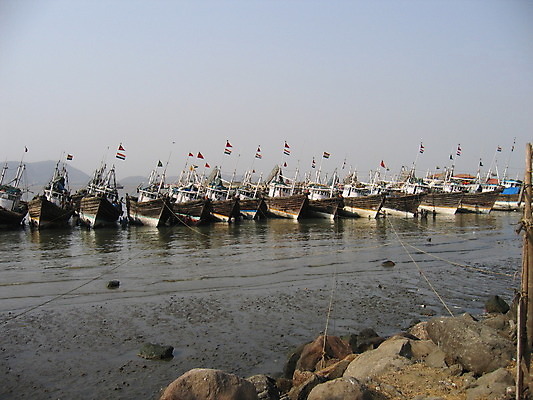 포토 JPG 해외이미지 동물 자연 사람없음 여행객 보트 인도인 해외202004 해외포토 외국인 배_교통 사람 동양인 생태계 파일형식 이미지허브