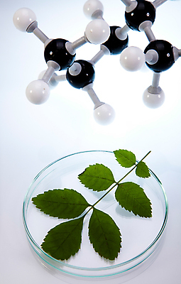 포토 JPG 해외이미지 식물 실내 실험 화학 실험실 플라스크 흰배경 화학실험 분자구조모형 샬레 해외202004 해외포토 과학 백그라운드 실험기구 내부 모형 흰색 분자구조 파일형식 이미지허브