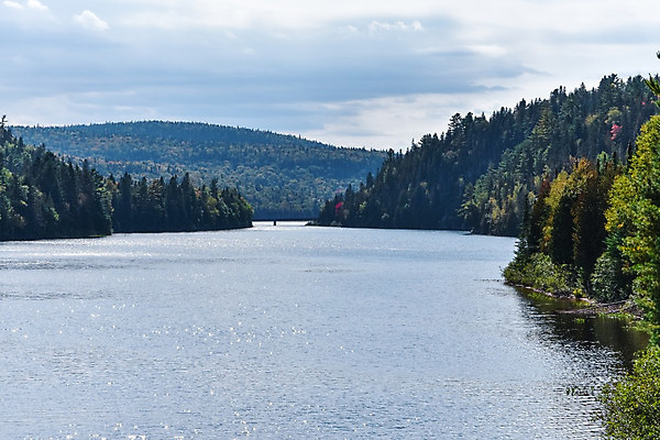 포토 JPG 해외이미지 나무 구름 계절 공원 호수 여행 백그라운드 잎 캐나다 오렌지 자연 산 파노라마 국립공원 풍경 사람없음 야외 빨간색 물 컬러풀 반사 노란색 평화 환경 활발 가을 황무지 숲 9월 11월 언덕 10월 내추럴 강렬 해외202004 해외포토 자연요소 식물 공공시설 컬러 컨셉 북아메리카 과일 촬영기법 날짜 생태계 파일형식 이미지허브