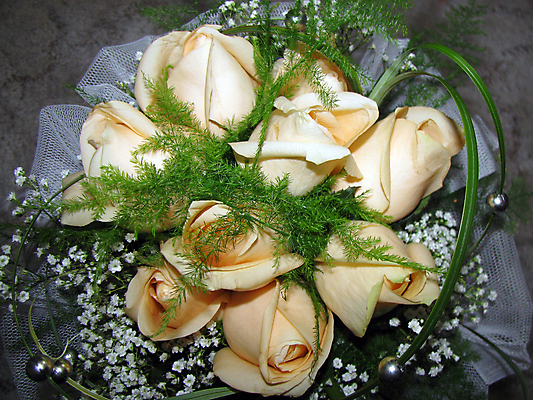 포토 JPG 해외이미지 식물 디자인 꽃 잎 목걸이 사랑 사람없음 장미 해외202004 해외포토 감정 장신구 파일형식 이미지허브