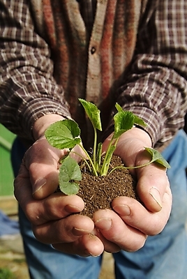 포토 JPG 해외이미지 1 라이프스타일 손 어린이 백그라운드 부분 손가락 아이디어 함께함 사람 손짓 사람없음 친구 빛 터치 흰색 가리킴 그룹 선택 정상 방향 심볼 사인 서식 쇼 언론 클릭 인덱스 팔 보여주기 고립 인터페이스 많음 해외202004 해외포토 컬러 컨셉 관계 모션 생활 신체부위 파일형식 이미지허브
