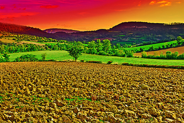 포토 JPG 해외이미지 식물 유럽 도로 길 밭 농업 자연 하늘 아침 산 주택 풍경 사람없음 초록색 여름 햇빛 농가 농장 마을 일출 계곡 어둠 황혼 일몰 프랑스 안개 성장 바위 시골 소 저녁 숲 그늘 만취 빌라 언덕 프랑스어 산악지대 땅바닥 해외202004 해외포토 주간 문자 계절 나라 산업 컬러 포유류 교통시설 날씨 바닥 건물 태양 노을 돌_바위 야간 생태계 술취함 파일형식 이미지허브