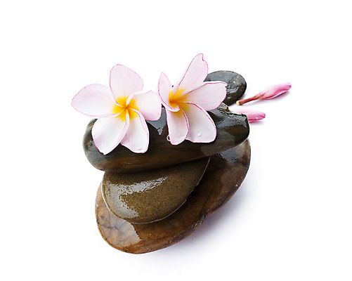 포토 JPG 해외이미지 꽃 종교 선 파도 분홍색 백그라운드 불교 자연 휴식 풍경 사람없음 반사 노란색 쌓기 평화 일본 검은색 침묵 고요 조약돌 바위 흰색 마음 마사지 땅 명상 만족 고립 돌무덤 평형 해외202004 해외포토 식물 감정 아시아 바다 컬러 컨셉 모션 수영 소리 돌_바위 무덤 생태계 파일형식 이미지허브