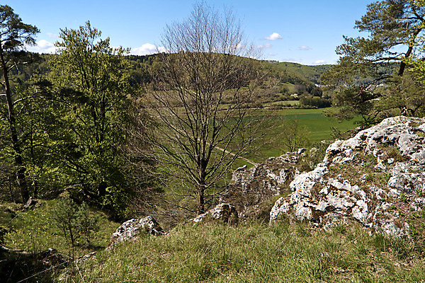 포토 JPG 해외이미지 나무 길 여행 벤치 자국 자연 하늘 독일 풍경 사람없음 야외 강 골짜기 계곡 봄 하이킹 개울 숲 블루베리 향나무 바이에른 해외202004 해외포토 식물 계절 유럽 의자 과일 레저 생태계 파일형식 이미지허브