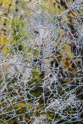 포토 JPG 해외이미지 백그라운드 패턴 창문 유리 추상 사람없음 손상 칼날 파편 묘사 질감 날카로움 찌그러짐 골절 깨짐 해외202004 해외포토 컨셉 무늬 의학 재질 파일형식 이미지허브