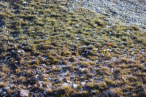 포토 JPG 해외이미지 식물 구름 지구 여행 백그라운드 자연 건조 풍경 사람없음 물 여름 파란색 환경 흙 사막 흰색 뜨거움 황무지 균열 땅 부식 질감 서식 소금 먼지 점토 지역 가뭄 내추럴 넘어짐 땅바닥 스텝 오지 카자흐스탄 해외202004 해외포토 자연요소 계절 아시아 컬러 모션 날씨 바닥 생태계 파일형식 이미지허브