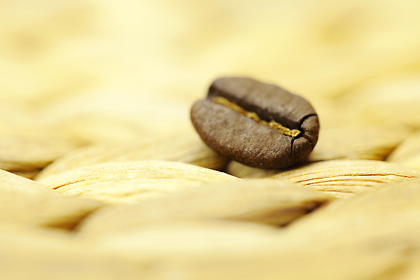 포토 JPG 해외이미지 옷 음식 빵 줄기 백그라운드 농업 부분 표면 프레임 씨앗 사람없음 농장 갈색 사진촬영 공백 원두 직물 거친 밀 가득함 싱글 유기농 질감 캔버스 찢어짐 섬유 직사각형 짜임 스타일 해외202004 해외포토 도형 식물 웰빙 산업 커피 컬러 모션 곡류 촬영 파일형식 이미지허브