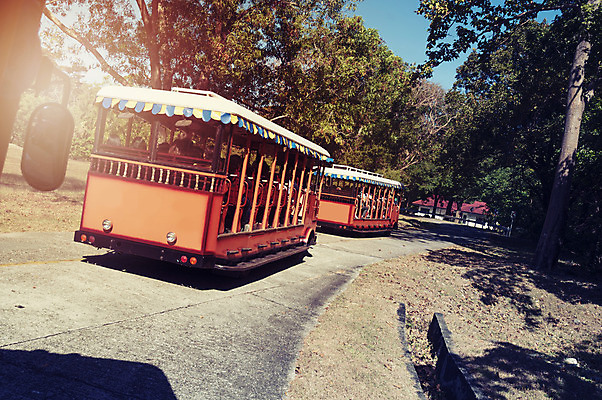 포토 JPG 해외이미지 섬 버스 사람없음 햇빛 해외202004 해외포토 육상교통 대중교통 태양 파일형식 이미지허브