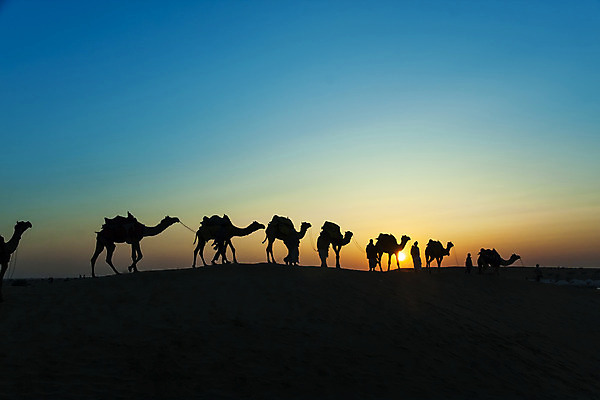 포토 JPG 해외이미지 동물 구름 전통 실루엣 아시아 문화 모래 여행 자국 자연 하늘 안내 사람 풍경 사람없음 빛 햇빛 태양 일출 황혼 일몰 새벽 산책 사막 광선 그룹 황금 승차 모래언덕 코 장면 낙타 파열 줄서기 해외202004 해외포토 자연요소 나라 포유류 모션 휴식 촬영기법 신체부위 노을 언덕 생태계 파일형식 이미지허브