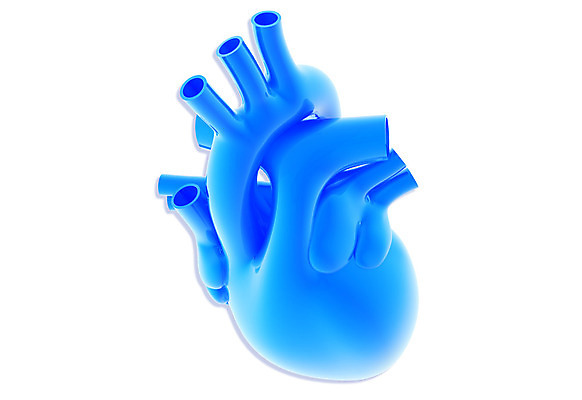 포토 JPG 해외이미지 모델 신체 해부 근육 스트레스 건강 병원 사람 사람없음 내부 운동 약 3D 디지털 고통 시험 환자 하트 가르침 조직 혈액 맥박 속도 런닝머신 정맥 펌프 심장병 심전도 해외202004 해외포토 모양 교육 감정 의학 운동기구 질병 디지털합성 혈관 파일형식 이미지허브