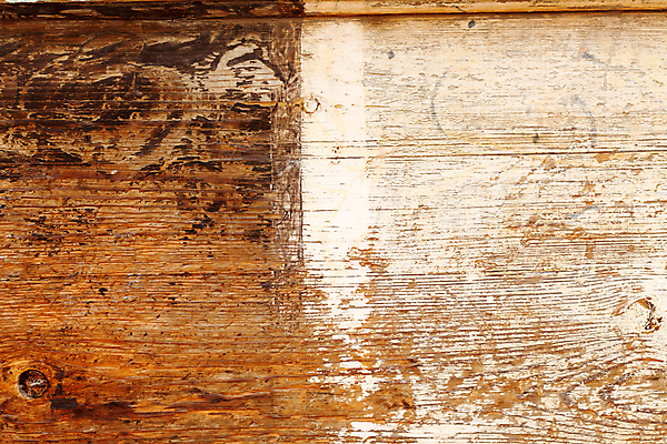 포토 JPG 해외이미지 나무 식물 디자인 벽 가구 백그라운드 패턴 자연 벽지 탁자 표면 바닥 사람없음 목재 장식 빛 갈색 줄무늬 수확 소나무 판넬 거친 널 낟알 책상 묘사 질감 목공예 잡동사니 내추럴 수목 옛날 파케트 해외202004 해외포토 컬러 생활용품 무늬 농업 재료 공예 생태계 파일형식 이미지허브