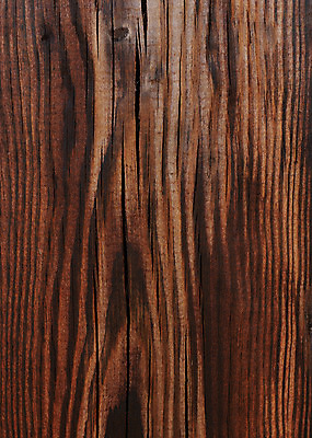 포토 JPG 해외이미지 나무 디자인 외관 벽 백그라운드 패턴 자연 탁자 표면 추상 바닥 프레임 건조 사람없음 목재 장식 갈색 어둠 수확 소나무 판넬 얼룩 거친 널 낟알 타일 책상 질감 복고 목공예 내추럴 구식 그런지 수목 옛날 해외202004 해외포토 식물 컬러 가구 무늬 농업 재료 공예 생태계 파일형식 이미지허브