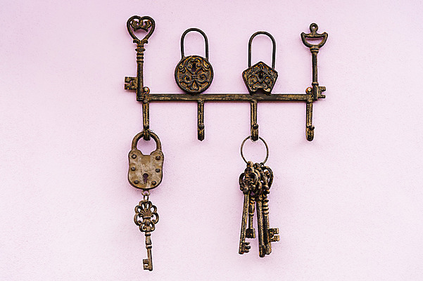 포토 JPG 해외이미지 벽 백그라운드 열쇠 주택 골격 매달리기 사람없음 문 금속 침묵 수확 골동품 그룹 오브젝트 복고 잠금 라벤더 구식 놋쇠 옛날 파스텔톤 해외202004 해외포토 꽃 컬러 농업 모션 재질 건물 소리 허브 보안 파일형식 이미지허브