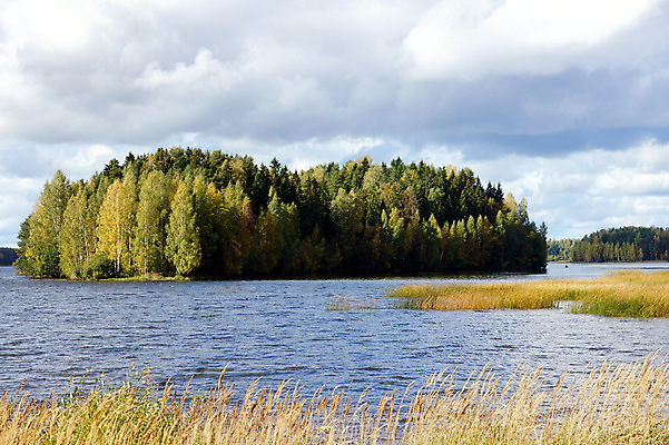 포토 JPG 해외이미지 나무 구름 계절 호수 섬 자연 하늘 풍경 사람없음 야외 초록색 물 파란색 노란색 가을 연못 황금 숲 해외202004 해외포토 자연요소 식물 컬러 생태계 파일형식 이미지허브