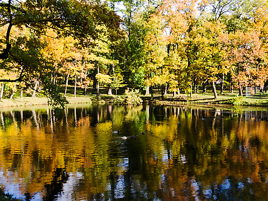 포토 JPG 해외이미지 나무 식물 배너 계절 공원 지구 호수 백그라운드 단풍 잎 오렌지 자연 날씨 풍경 사람없음 야외 초록색 물 빛 강 태양 반사 노란색 환경 행성 가을 신용카드 숲 떠남 해외202004 해외포토 자연요소 공공시설 컬러 과일 모션 금융 우주 생태계 파일형식 이미지허브