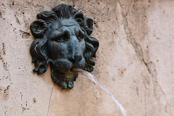 포토 JPG 해외이미지 동물 전통 디자인 공원 유럽 얼굴 벽 조각 백그라운드 건축양식 미술 사람없음 장식 물 조각상 숫자 머리 정원 흐름 수확 골동품 중세 사자 뿌리기 심볼 묘사 분수 부식 정사각형 마드리드 옛날 웅장함 스타일 해외202004 해외포토 자연요소 도형 문자 공공시설 건축 나라 컨셉 농업 포유류 모션 문화예술 신체부위 조형물 역사 파일형식 이미지허브