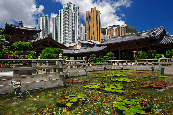 포토 JPG 해외이미지 나무 전통 공원 문화 선 불교 건축양식 동양인 풍경 사람없음 목재 장식 빨간색 평화 탑 정원 중국 화목 침묵 바위 연못 소나무 사찰 황금 오솔길 아치 조경 홍콩 분재 잉어 해외202004 해외포토 식물 건축물 공공시설 건축 아시아 종교 길 컬러 컨셉 재료 종교건축 어류 인종 소리 돌_바위 파일형식 이미지허브
