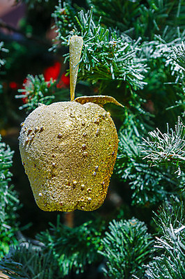 포토 JPG 해외이미지 계절 잎 크리스마스 휴가 선물 사람없음 장식 빨간색 초록색 빛 상자 종 황금 은색 광택 해외202004 해외포토 식물 기념일 컬러 파일형식 이미지허브