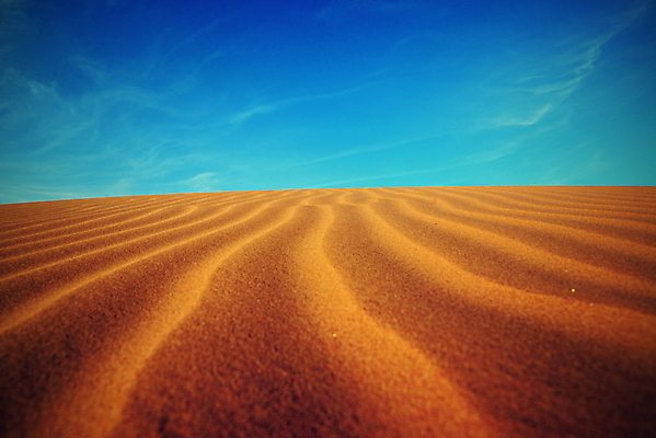 포토 JPG 해외이미지 모래 파도 여행 백그라운드 패턴 오렌지 아프리카 자연 하늘 건조 따뜻함 풍경 사람없음 야외 빨간색 여름 파란색 모래사장 태양 갈색 노란색 맑음 일몰 사막 뜨거움 거친 고독 갈증 모래언덕 묘사 지역 가뭄 모로코 사하라 내추럴 아랍어 해외202004 해외포토 자연요소 계절 감정 나라 바다 컬러 무늬 과일 날씨 노을 언덕 생태계 파일형식 이미지허브