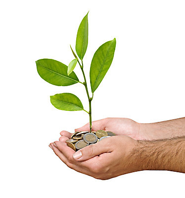 포토 JPG 해외이미지 나무 식물 손 유럽 지구 백그라운드 잎 돈 농업 오렌지 자연 새로움 귤 손바닥 사람 사람없음 초록색 금융 경제 쌓기 환경 동전 유로 성장 흰색 비즈니스맨 재산 닫기 보호 농부 심볼 생태계 투자 개발 고립 모종 묘목 밭일 생태학 심기 유럽연합 이슈 투자자 해외202004 해외포토 직업 교육 남자 나라 산업 컬러 컨셉 과일 비즈니스 모션 신체부위 직장인 파일형식 이미지허브