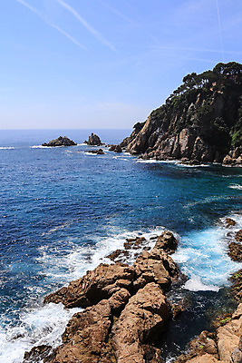 포토 JPG 해외이미지 유럽 야생동물 파도 바다 여행 자연 하늘 바람 풍경 사람없음 야외 물 여름 파란색 맑음 자유 서핑 깊이 카피스페이스 해외202004 해외포토 자연요소 동물 계절 나라 컬러 컨셉 날씨 공백 수상스포츠 생태계 파일형식 이미지허브