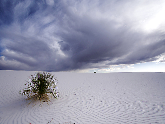 포토 JPG 해외이미지 식물 물결 파도 여행 패턴 자연 하늘 아침 휴가 새로움 멕시코 건조 그림자 사람없음 야외 물 모래사장 햇빛 태양 일출 줄무늬 사막 흰색 뜨거움 황금 저녁 낟알 갈증 사파리 질감 스카이라인 뉴멕시코 해외202004 해외포토 주간 자연요소 바다 컬러 컨셉 북아메리카 무늬 노을 야간 생태계 파일형식 이미지허브