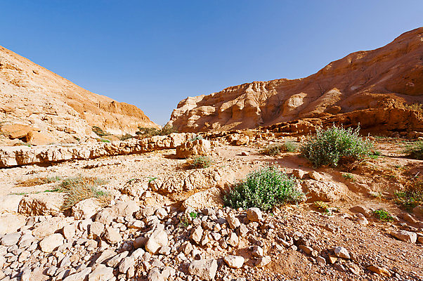 포토 JPG 해외이미지 도로 모래 여행 자연 하늘 산 건조 풍경 사람없음 여름 파란색 햇빛 골짜기 사막 바위 시골 뜨거움 황무지 중앙 위험 그늘 땅 지중해 언덕 부식 먼지 신성 지역 가뭄 동쪽 땅바닥 생태학 서쪽 이스라엘 팔레스타인 해외202004 해외포토 계절 교육 길 바다 컬러 컨셉 중동 교통시설 날씨 바닥 태양 돌_바위 방향 생태계 서아시아 파일형식 이미지허브