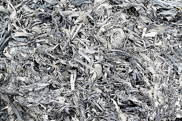 포토 JPG 해외이미지 나무 백그라운드 패턴 추상 사람없음 야외 목재 검은색 어둠 회색 흰색 뜨거움 지저분함 널 질병 위험 장작 모닥불 가루 벽난로 질감 냄새 먼지 담배꽁초 재떨이 숯 그런지 석탄 수목 재 해외202004 해외포토 식물 컬러 컨셉 무늬 재료 의학 불 담배 감각 파일형식 이미지허브