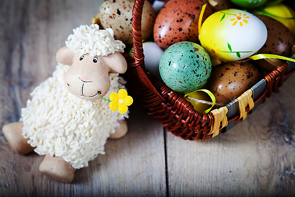 포토 JPG 해외이미지 전통 계절 꽃 백그라운드 자연 부활절 미술 사람없음 장식 초록색 컬러풀 장난감 노란색 바구니 우주 계란 페인트 봄 벚꽃 흰색 축하 인사 점 4월 오브젝트 수선화 양고기 취급주의 해외202004 해외포토 식물 기념일 컬러 컨셉 문화예술 육류 경고 알 예절 날짜 생태계 파일형식 이미지허브