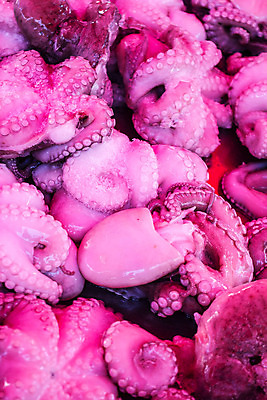 포토 JPG 해외이미지 동물 음식 바다 백그라운드 자연 조개 연체동물 잉크 나선형 건강 어류 요리 사람없음 보라색 수중 신선 해산물 그리스 질감 날것 문어 촉수 어장 그리스인 내추럴 식품점 해외202004 해외포토 서양인 유럽 컬러 무늬 어패류 무척추동물 상점 수중동물 생태계 파일형식 이미지허브