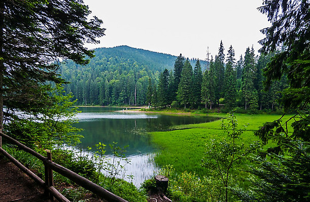 포토 JPG 해외이미지 나무 계절 공원 호수 여행 자연 하늘 날씨 휴가 산 풍경 사람없음 야외 목재 초록색 물 여름 파란색 반사 환경 침묵 연못 신선 숲 그림 지역 내추럴 생태학 우크라이나 전국 해외202004 해외포토 자연요소 식물 공공시설 교육 유럽 컬러 재료 소리 생태계 파일형식 이미지허브