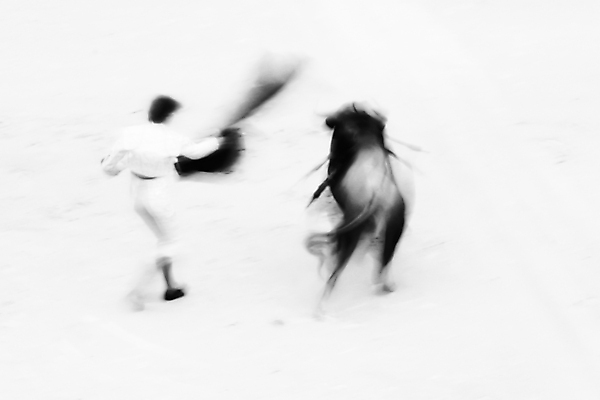 포토 JPG 해외이미지 동물 전통 문화 스포츠 모션 뿔 미술 사람 이벤트 사람없음 빨간색 파티 검은색 경기장 연주자 고통 흰색 죽음 자신감 폭력 혈액 스페인 우아함 위험 학대 황소 싸움 바르셀로나 살인 블러 살인범 스페인어 투우장 남용 해외202004 해외포토 감정 유럽 컬러 컨셉 스포츠시설 문화예술 음악가 소 범죄 사회이슈 투우 파일형식 이미지허브