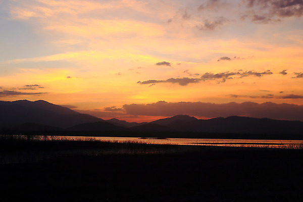 포토 JPG 해외이미지 나무 식물 동물 구름 계절 공원 호수 백그라운드 자연 하늘 아침 오리 갈대 서기 풍경 사람없음 야외 물 여름 파란색 빛 강 컬러풀 태양 반사 평화 일출 수영 일몰 봄 새벽 추위 도시 저녁 장면 고립 넘어짐 해외202004 해외포토 주간 자연요소 공공시설 컬러 컨셉 모션 조류 노을 수상스포츠 야간 생태계 파일형식 이미지허브
