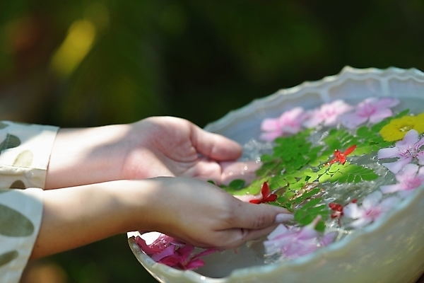 포토 JPG 해외이미지 손 꽃 야외 신체부위 물 햇빛 스파 손모으기 대야 해외포토 자연요소 식물 사람 손짓 태양 파일형식 이미지허브