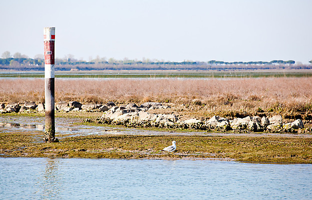 포토 JPG 해외이미지 유럽 바다 자연 파노라마 풍경 사람없음 물 강 이탈리아 서핑 해조류 석호 채널 해외202004 해외포토 자연요소 나라 촬영기법 수상스포츠 해양식물 생태계 파일형식 이미지허브