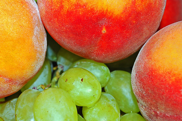 포토 JPG 해외이미지 전통 계절 열매 문화 음료 음식 농업 다이어트 과일 비즈니스 재료 포도 건강 사람없음 장식 가로 초록색 농작물 와인 프랑스 수확 성장 흰색 나뭇가지 시골 알코올 신선 달콤 자르기 다발 먹기 심볼 상쾌 복숭아 포도밭 포도나무 헝가리 고립 숙성 양조 양조장 채식주의자 해외202004 해외포토 나무 식물 감정 유럽 산업 컬러 밭 모션 주류 맛 과일나무 채식 동유럽 파일형식 이미지허브